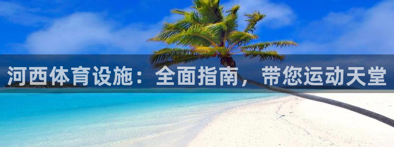 海南意昂体育3：河西体育设施：全面指南，带您运动天堂