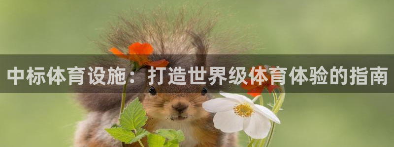 意昂3娱乐：中标体育设施：打造世界级体育体验的指南