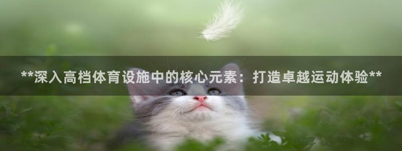 意昂3娱乐是那个系列的台子：**深入高档体育设施中的