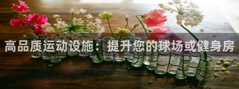 意昂体育3注册：高品质运动设施：提升您的球场或健身房