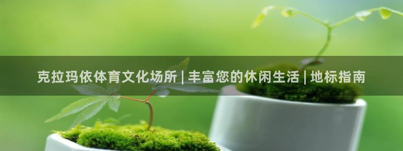 意昂体育3平台：克拉玛依体育文化场所 | 丰富您的休