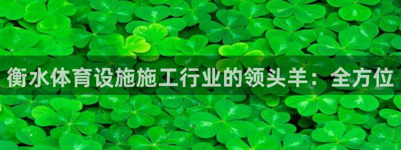 意昂3娱乐代理怎么样：衡水体育设施施工行业的领头羊：
