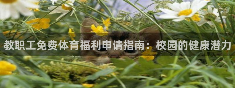 意昂体育3招商电话地址是多少：教职工免费体育福利申请