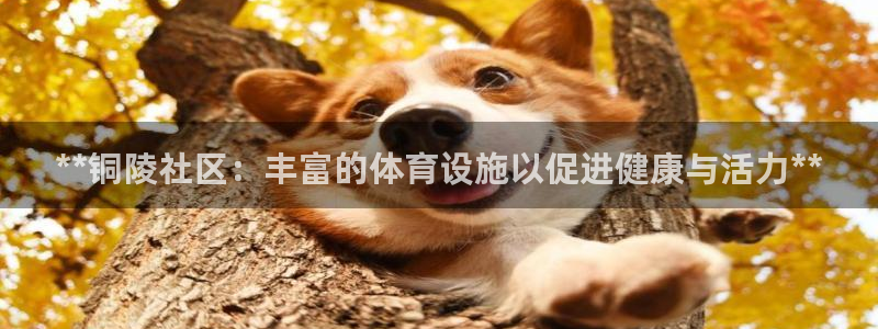 意昂体育3招商电话地址是多少：**铜陵社区：丰富的体