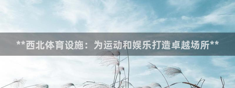 意昂体育3开户：**西北体育设施：为运动和娱乐打造卓