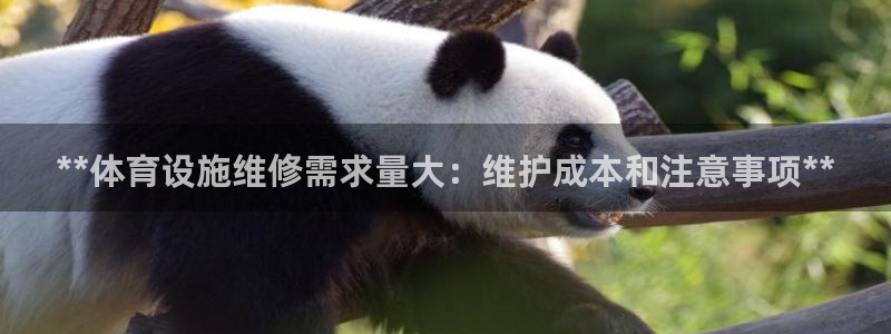 意昂体育3平台：**体育设施维修需求量大：维护成本和