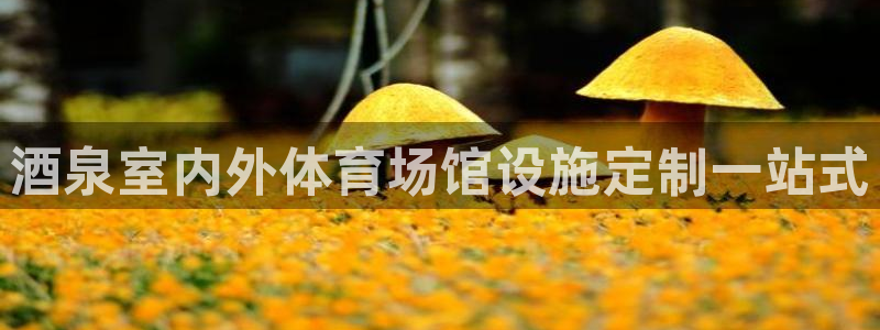 意昂体育3招商电话号码：酒泉室内外体育场馆设施定制一
