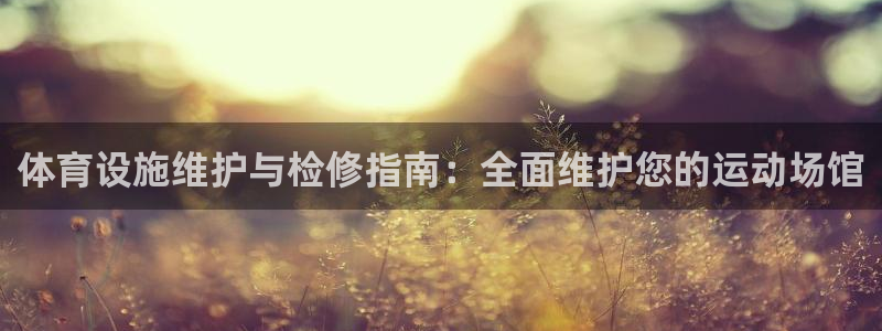 意昂体育3平台APP：体育设施维护与检修指南：全面维