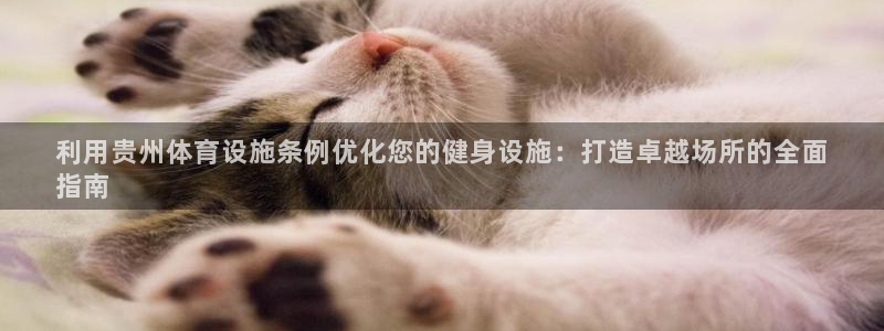 意昂3开户：利用贵州体育设施条例优化您的健身设施：打