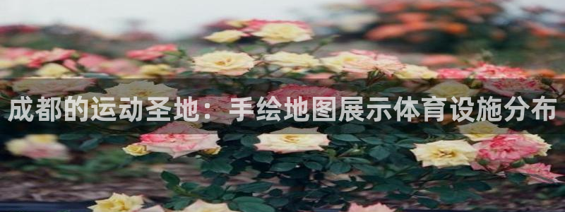 意昂体育3招商电话是多少：成都的运动圣地：手绘地图展