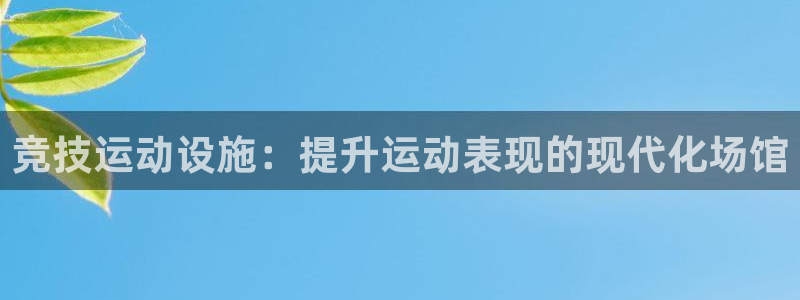 意昂3新能源：竞技运动设施：提升运动表现的现代化场馆