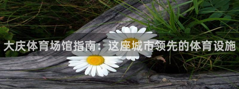 意昂体育3平台注册：大庆体育场馆指南：这座城市领先的