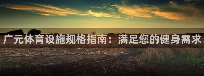 意昂3官网：广元体育设施规格指南：满足您的健身需求