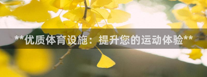 意昂体育3：**优质体育设施：提升您的运动体验**