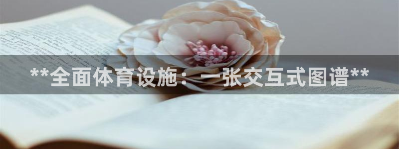 意昂体育3平台注册流程视频：**全面体育设施：一张交