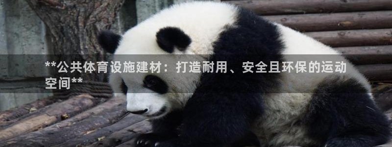 德国意昂3集团：**公共体育设施建材：打造耐用、安全
