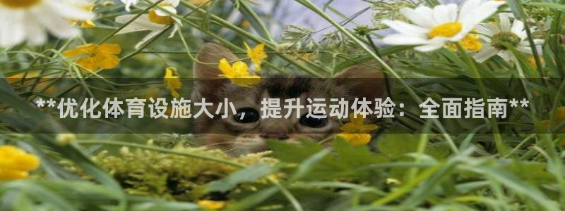 意昂体育3平台注册流程图：**优化体育设施大小，提升
