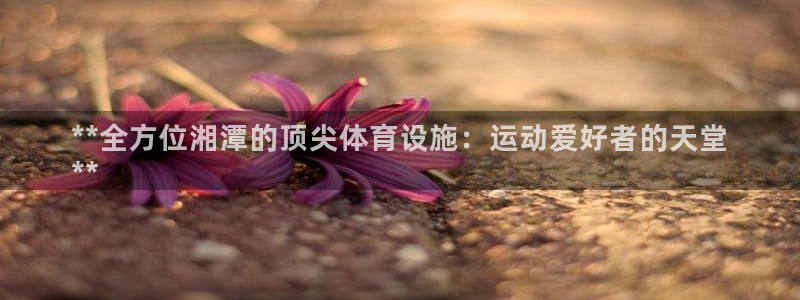 意昂3集团官网网址：**全方位湘潭的顶尖体育设施：运