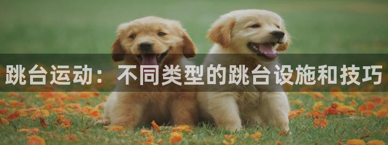 意昂体育3平台APP：跳台运动：不同类型的跳台设施和