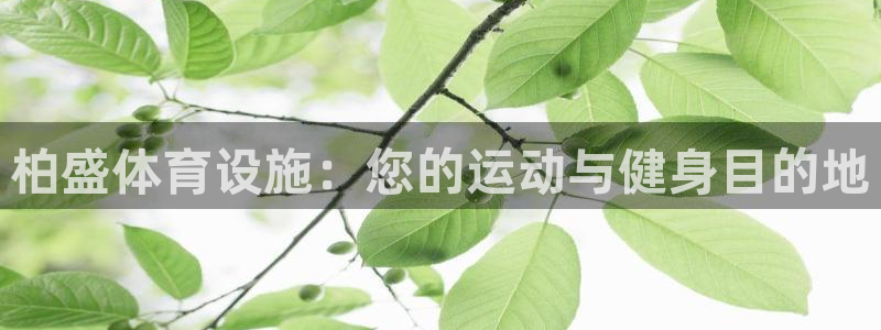 意昂体育3平台注册流程图：柏盛体育设施：您的运动与健