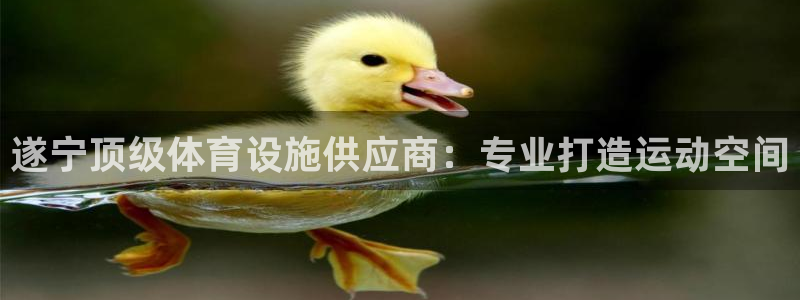 意昂3集团官网网址：遂宁顶级体育设施供应商：专业打造