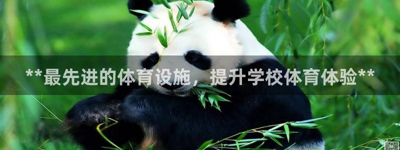 德国意昂3集团：**最先进的体育设施，提升学校体育体