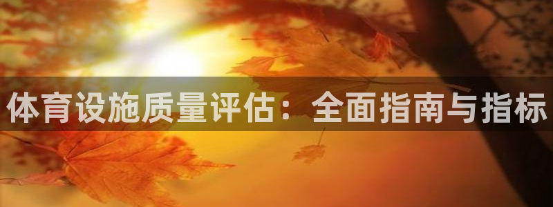 意昂体育3平台注册流程图：体育设施质量评估：全面指南