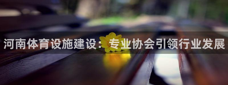 意昂体育3联系电话：河南体育设施建设：专业协会引领行