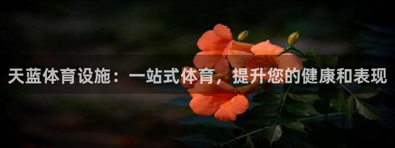 意昂3集团官网网址：天蓝体育设施：一站式体育，提升您