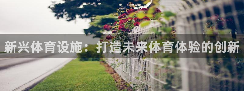 意昂体育3平台是正规平台吗：新兴体育设施：打造未来体