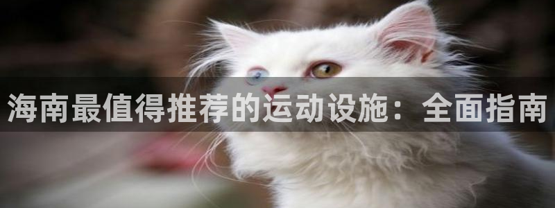 意昂3娱乐平台：海南最值得推荐的运动设施：全面指南