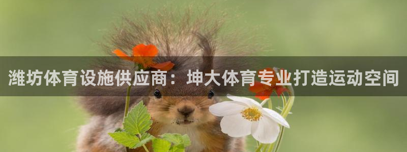 意昂3官方：潍坊体育设施供应商：坤大体育专业打造运动