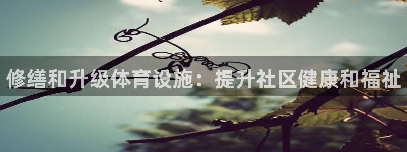 意昂3代理：修缮和升级体育设施：提升社区健康和福祉