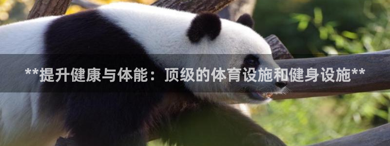 意昂体育3开户：**提升健康与体能：顶级的体育设施和