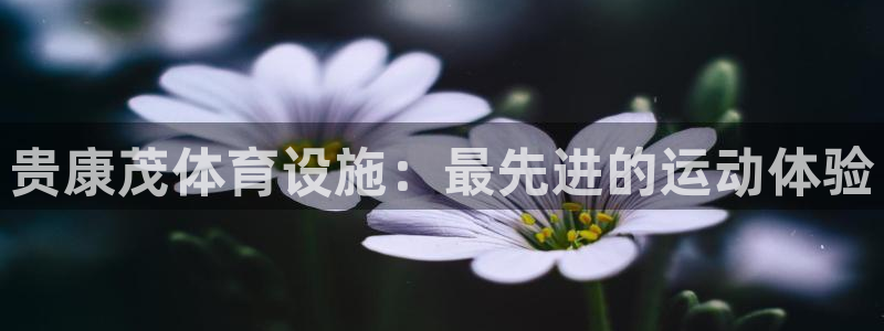 意昂3娱乐首页官网下载：贵康茂体育设施：最先进的运动
