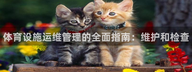 意昂体育3平台假的吗是真的吗吗：体育设施运维管理的全