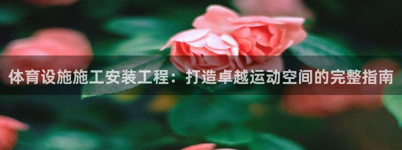 意昂3集团E.ON：体育设施施工安装工程：打造卓越运