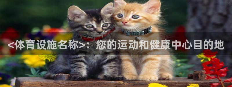 意昂体育3开户：<体育设施名称>：您的运动和健康中心