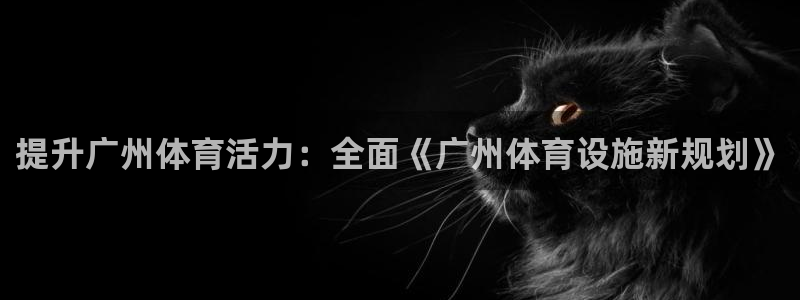 意昂3集团简介：提升广州体育活力：全面《广州体育设施新规划》