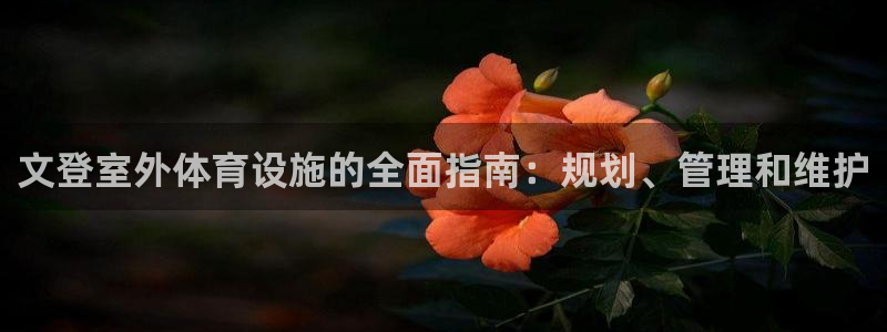 意昂体育3开户：文登室外体育设施的全面指南：规划、管