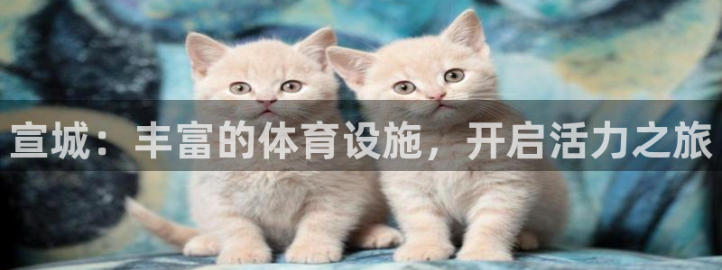 意昂平台体育：宣城：丰富的体育设施，开启活力之旅
