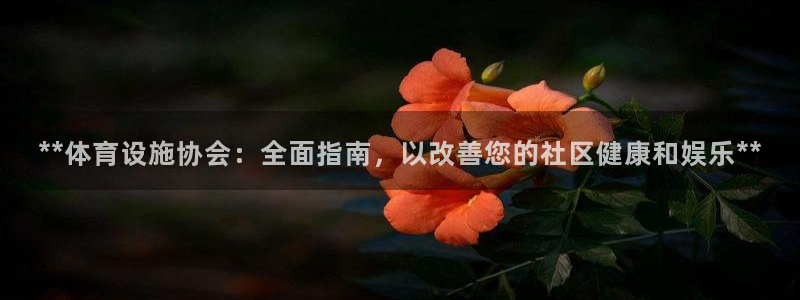 意昂集团官网：**体育设施协会：全面指南，以改善您的
