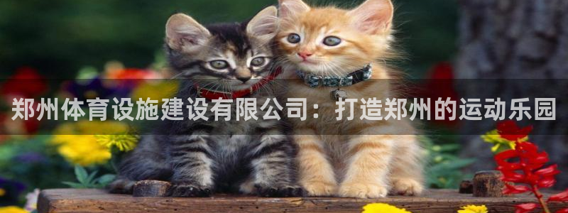 意昂3神州