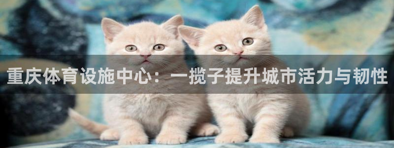 意昂体育3招商电话是多少啊