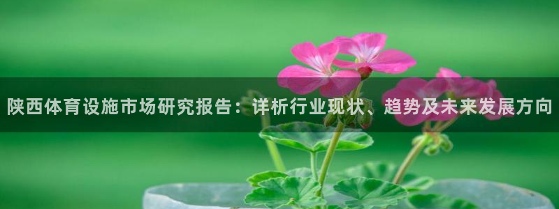 意昂平台体育