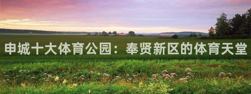 意昂体育3是干嘛的公司