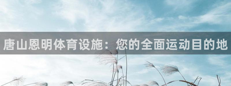 意昂体育3开户：唐山恩明体育设施：您的全面运动目的地