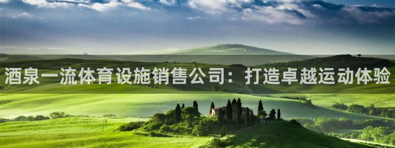 意昂体育3注册：酒泉一流体育设施销售公司：打造卓越运