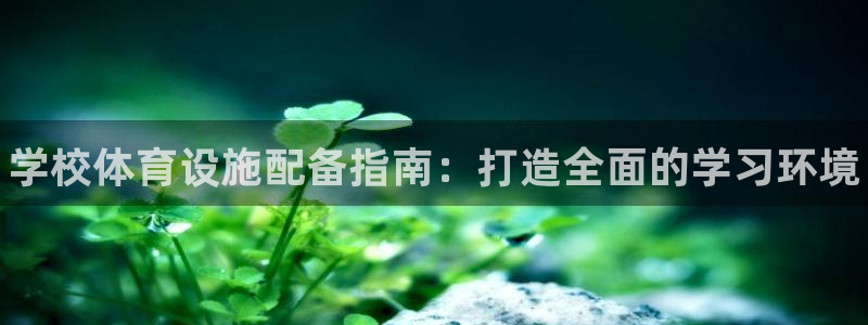 意昂体育3：学校体育设施配备指南：打造全面的学习环境