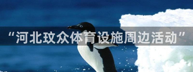 意昂体育3平台假的吗是真的吗：“河北玟众体育设施周边活动”